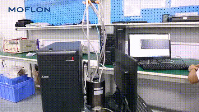 ǧ����̫�W���h